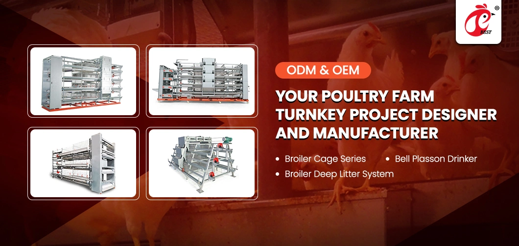 Bestchickencage Feed Crushing Mixer China Feed Grinder and Mixer Manufacturers OEM Customized Environmental Friendly Poultry Feed Mixer