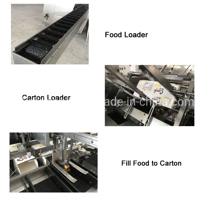 Automatic Sifting Through Cartoning Carton Box Packing Machine